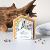 Savon Lait Précieux - au lait d'ânesse